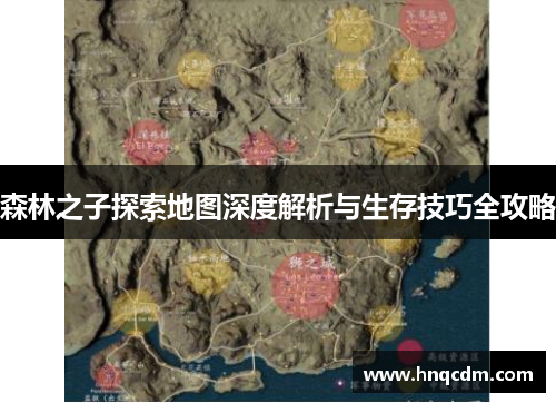 森林之子探索地图深度解析与生存技巧全攻略 森林之子探索地图深度解析与生存技巧全攻略